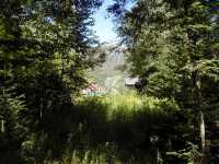 Looking back up the cog railway from the old trestle.  Time closes in.