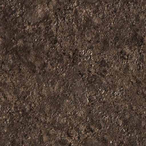 Lost Meadow dirt