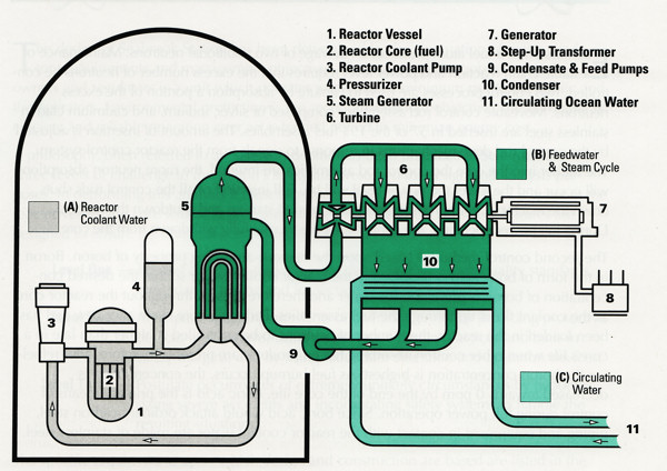 Simple Diagram of how the plant works